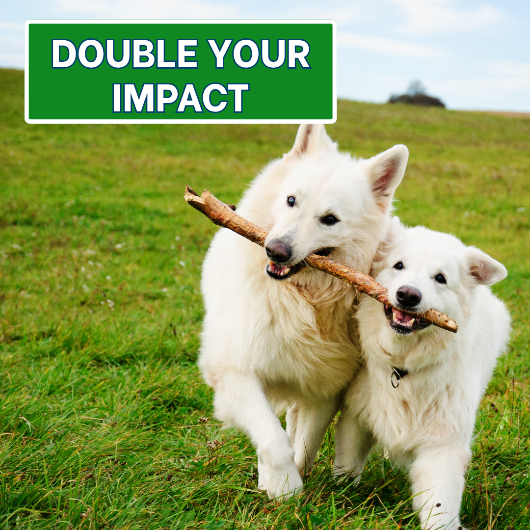 Double Your Impact